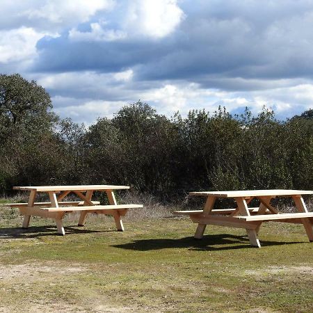 Bubulcus&Bolotas - Off Grid Nature Holiday Home Vimieiro  Exterior foto