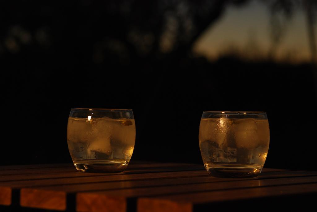 Bubulcus&Bolotas - Off Grid Nature Holiday Home Vimieiro  Exterior foto