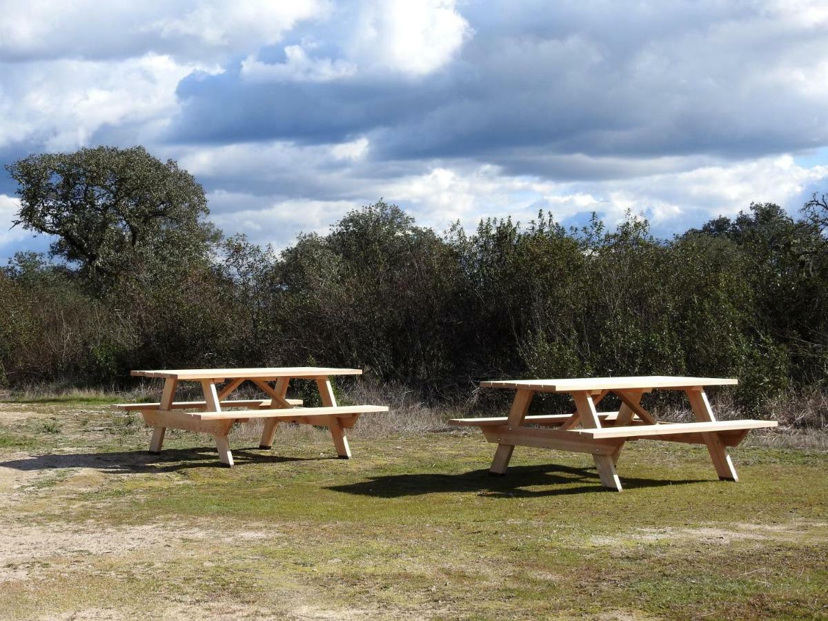 Bubulcus&Bolotas - Off Grid Nature Holiday Home Vimieiro  Exterior foto